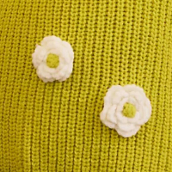 Brand New Flat White for Anthropologie Crochet Flower Shorts - Picture 5 of 6